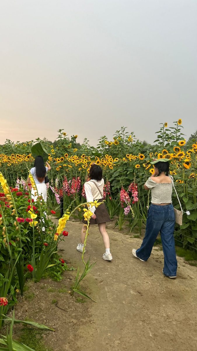 留学してよかったこと
