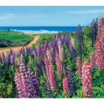 プリンスエドワード島